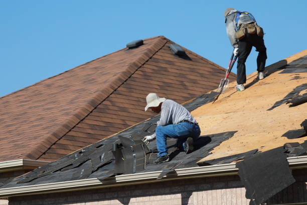 Best Roof Coating and Sealing  in Chigan Center, MI