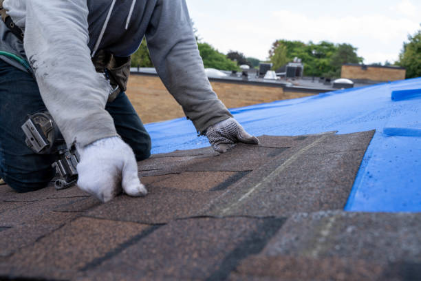 Best Metal Roofing Installation  in Chigan Center, MI